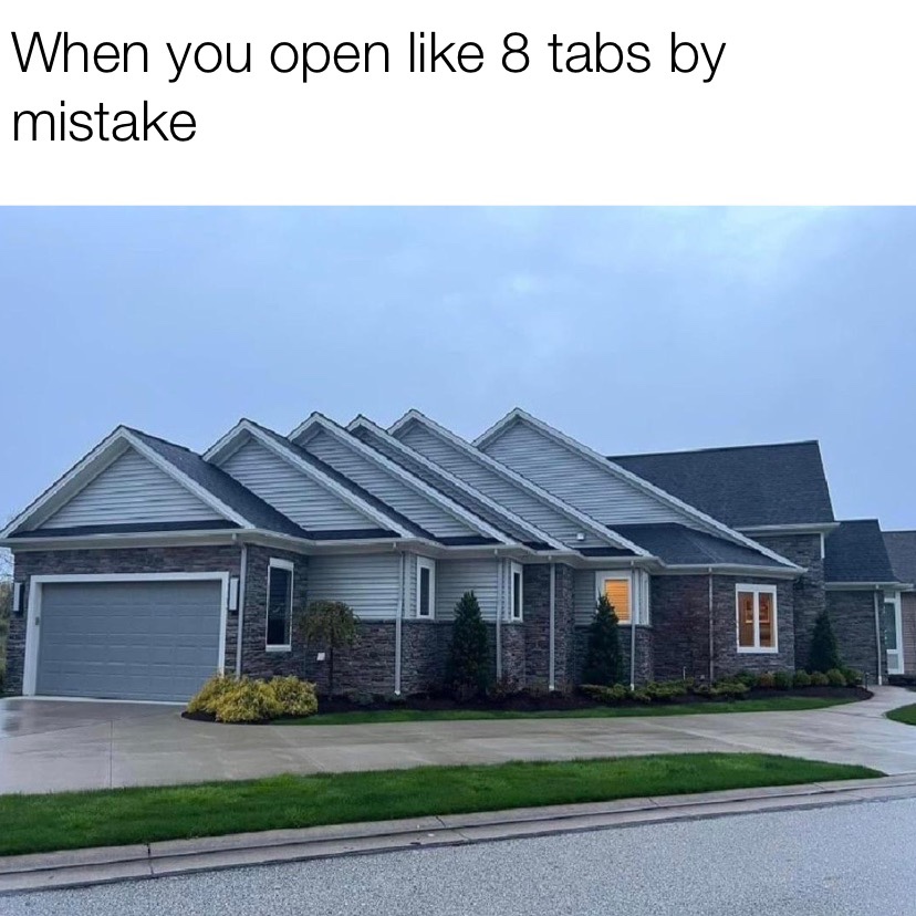 When you open like 8 tabs by mistake meme