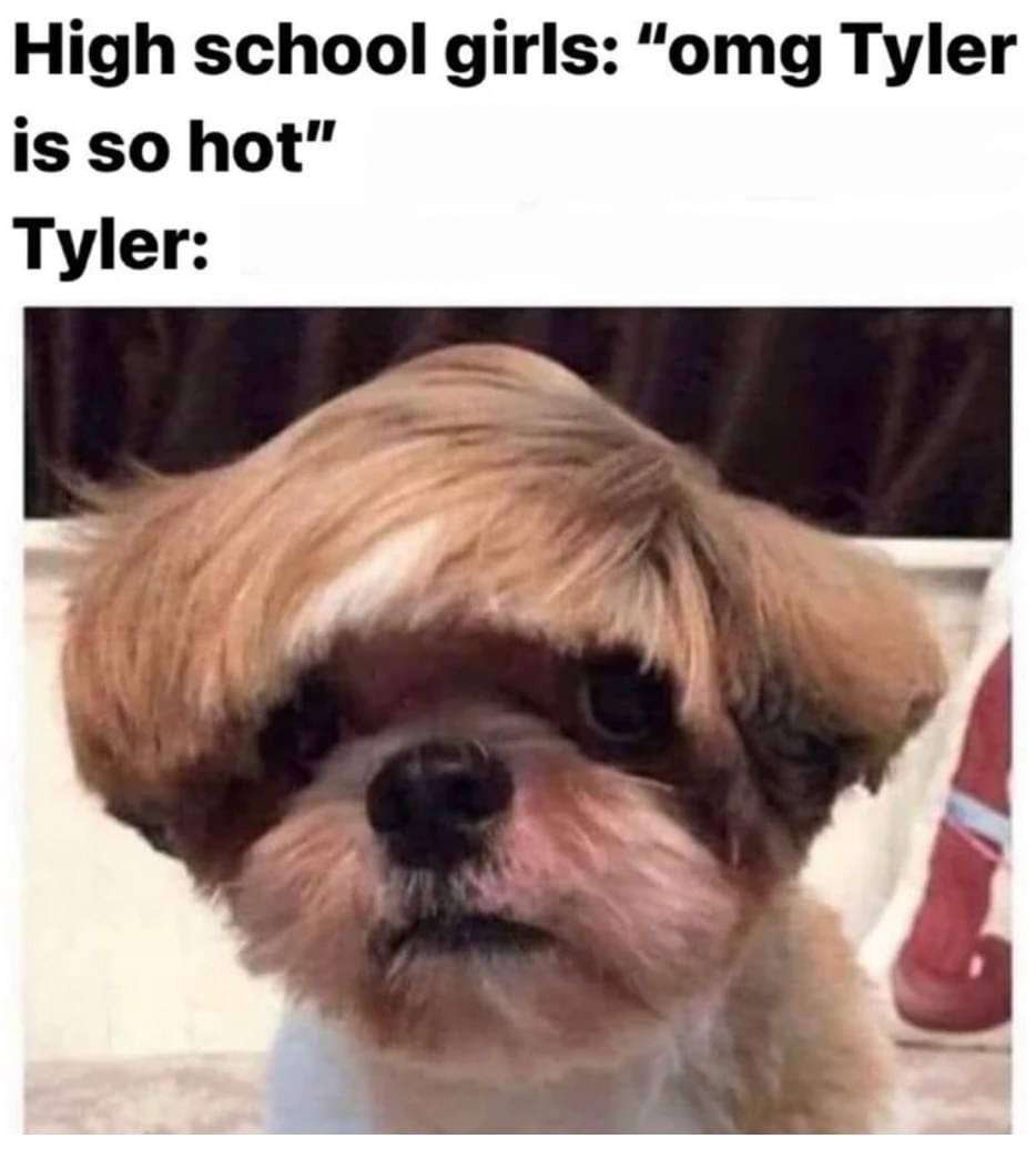 High school girls: omg Tyler is so hot dog meme
