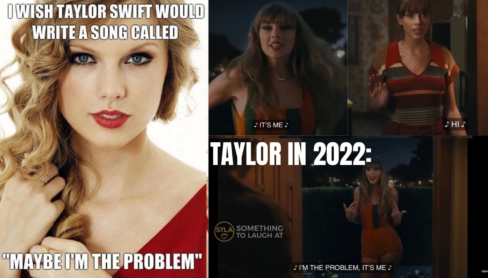 Taylor Swift Anti-Hero I Am The Problem Meme
