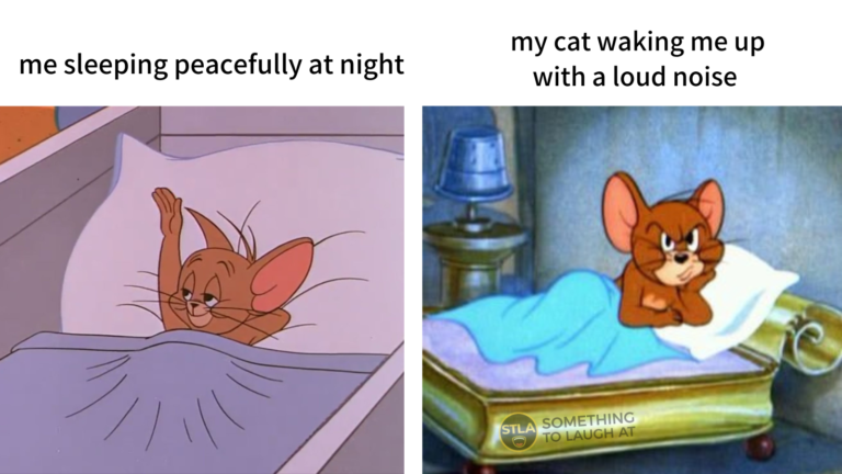 Me sleeping peacefully at night vs my cat waking me up with a loud noise Tom and Jerry meme