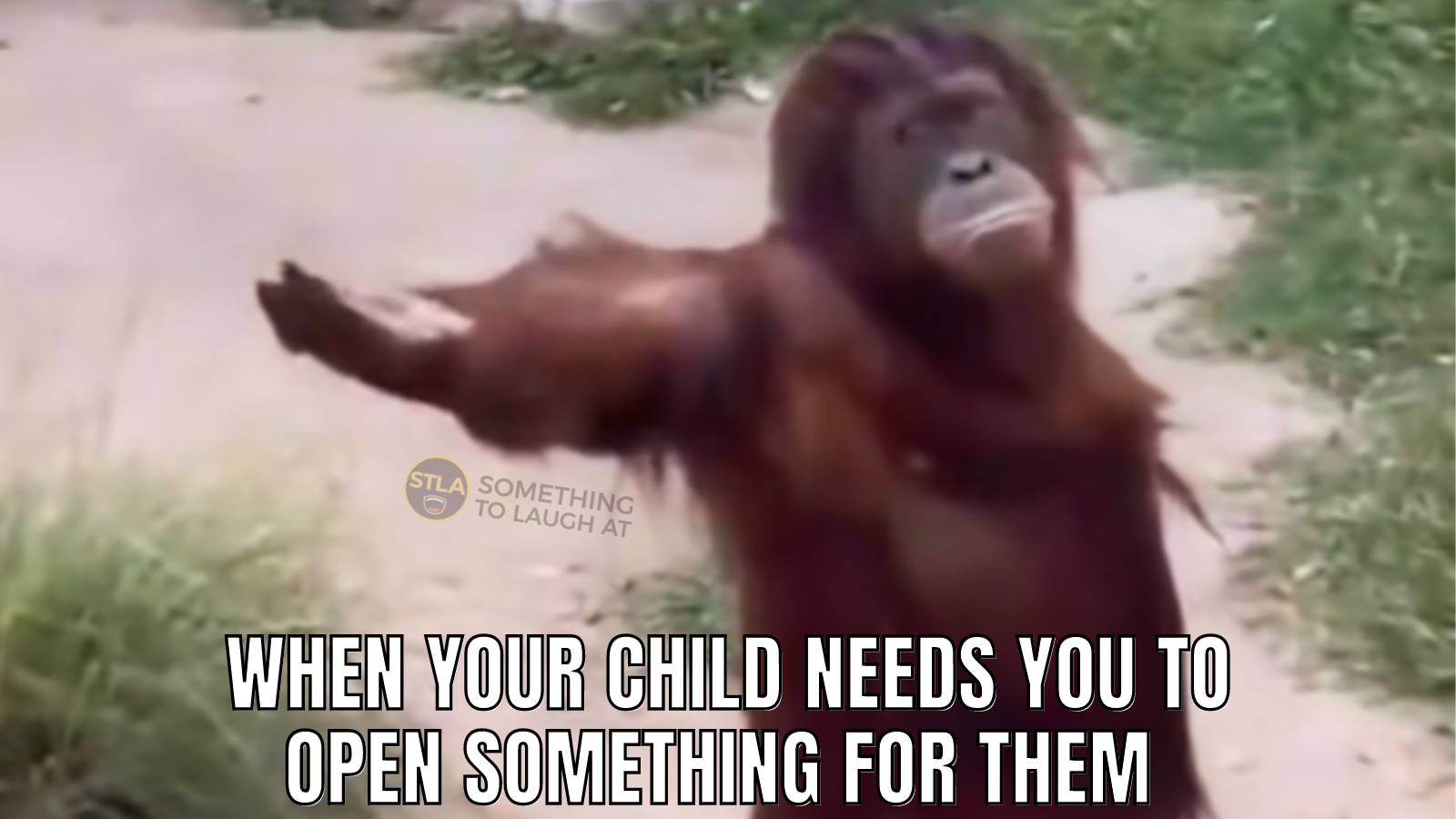 When your child needs you to open something for them monkey meme
