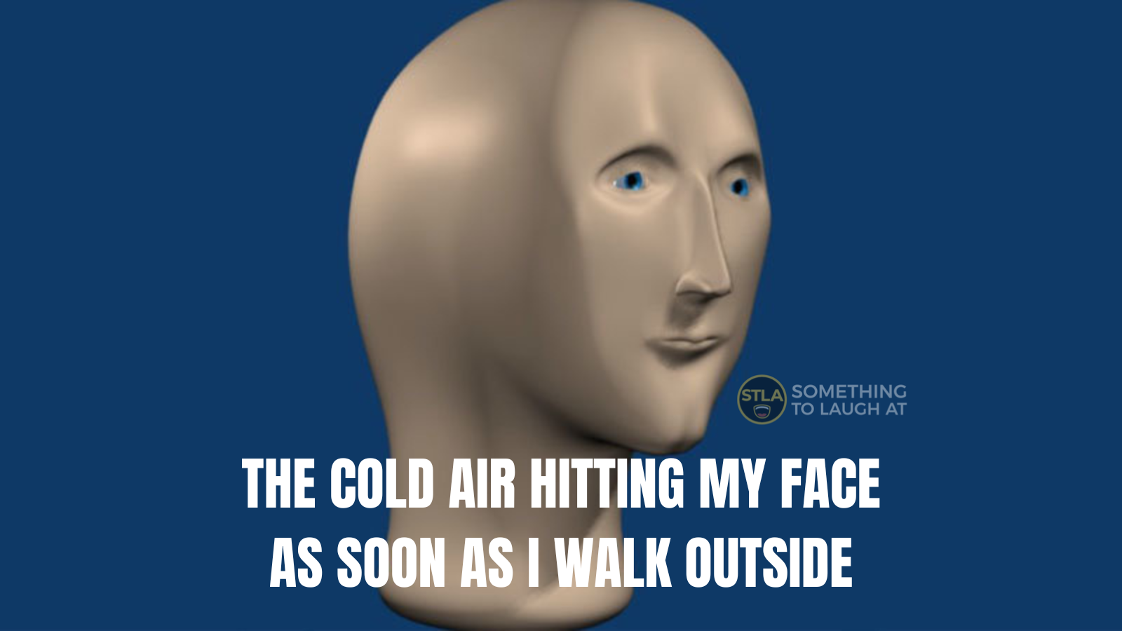 The cold air hitting my face as soon as I walk outside meme