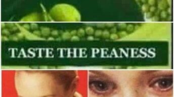 Peas taste the peaness meme