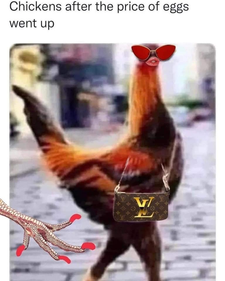 Chickens after the price of eggs went up meme