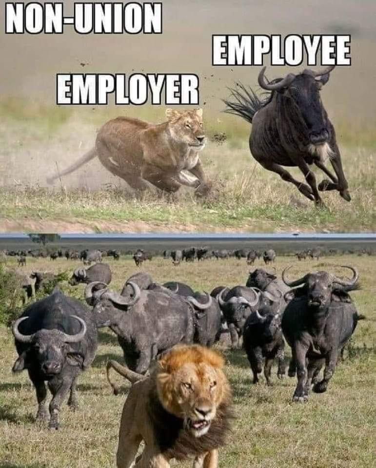 Non Union employee vs employer meme